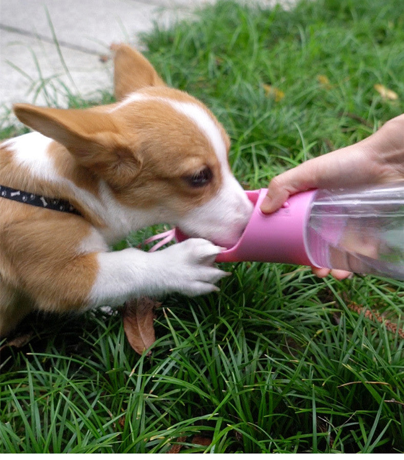 Hydrate Your Pup Anywhere – Portable Dog Water Bottle