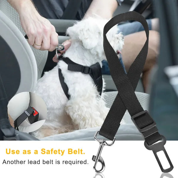 Safe Rides Ahead – Pet Seat Belt Leash Set