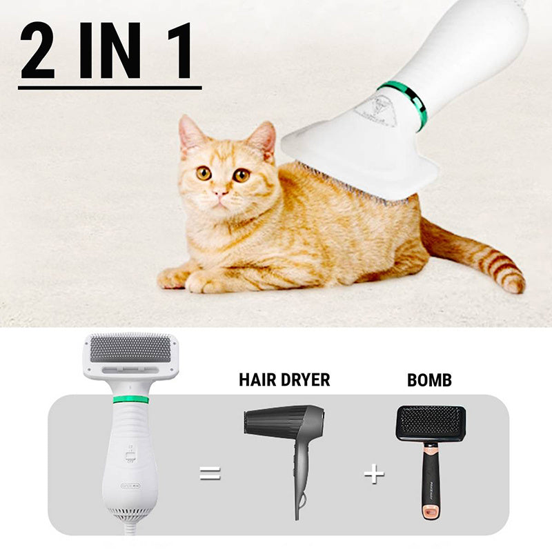 Groom and Dry Your Furry Friend in Minutes