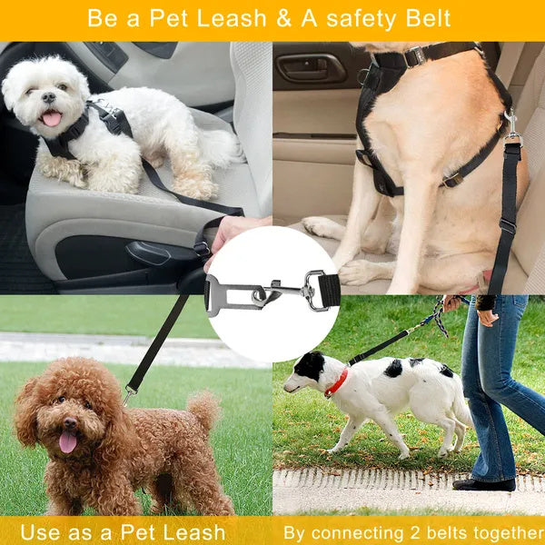 Safe Rides Ahead – Pet Seat Belt Leash Set