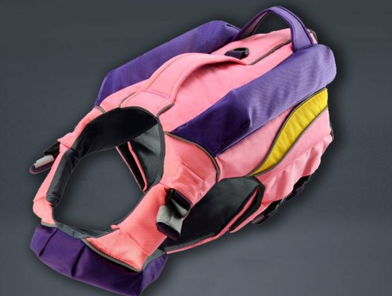 Safe & Cool: Summer Swimwear for Happy Dogs