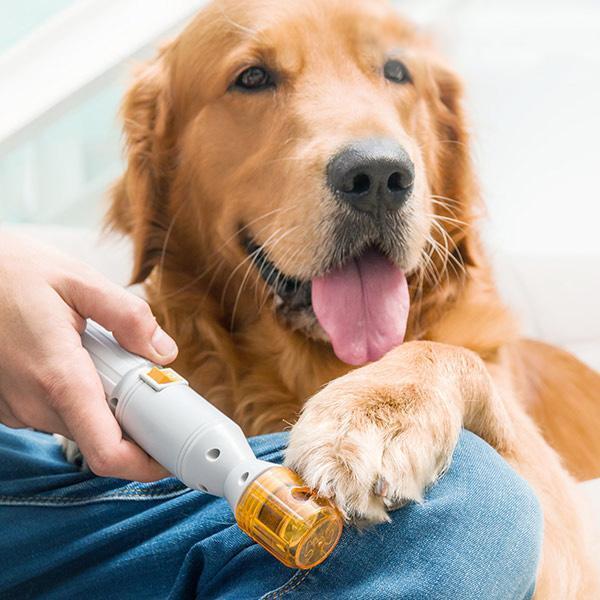Gentle Paws: Stress-Free Nail Care for Happy Pets