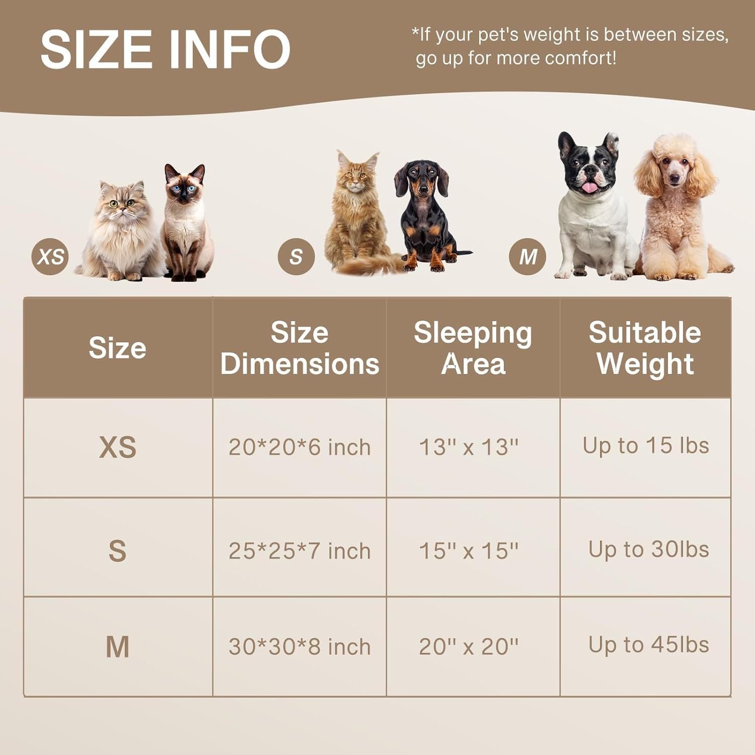 Happy Paws Rest Easy in This Donut Pet Bed