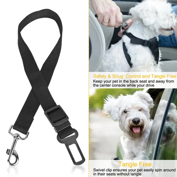 Safe Rides Ahead – Pet Seat Belt Leash Set