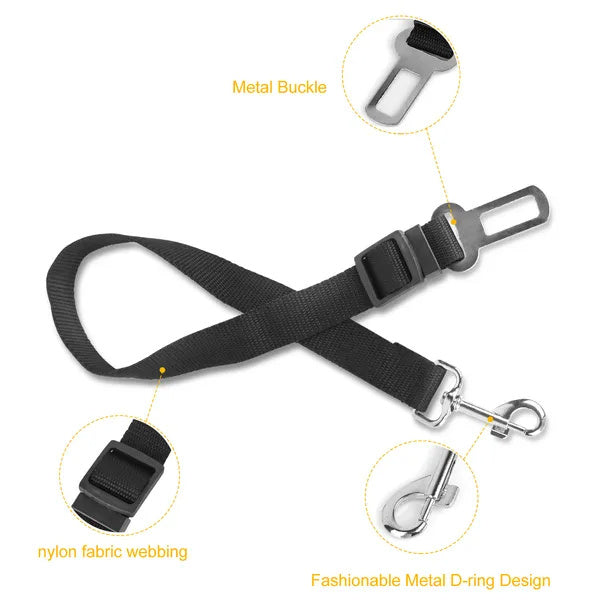 Safe Rides Ahead – Pet Seat Belt Leash Set