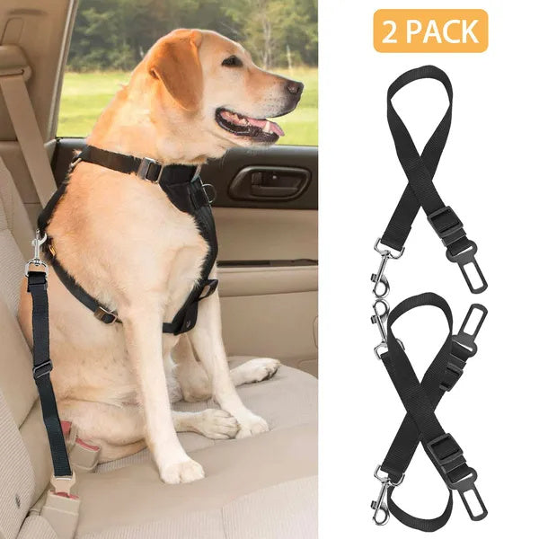 Safe Rides Ahead – Pet Seat Belt Leash Set