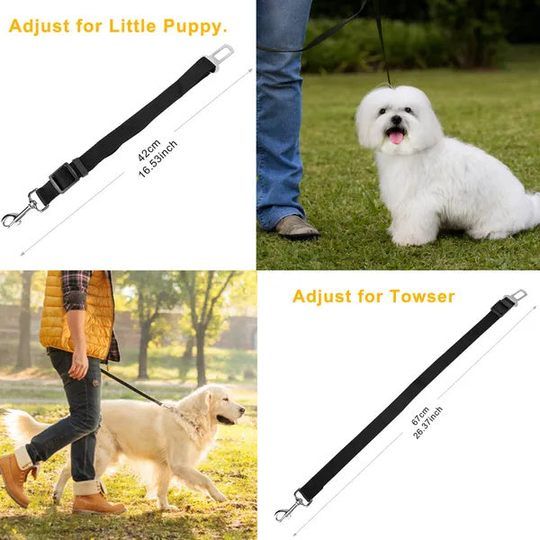 Safe Rides Ahead – Pet Seat Belt Leash Set