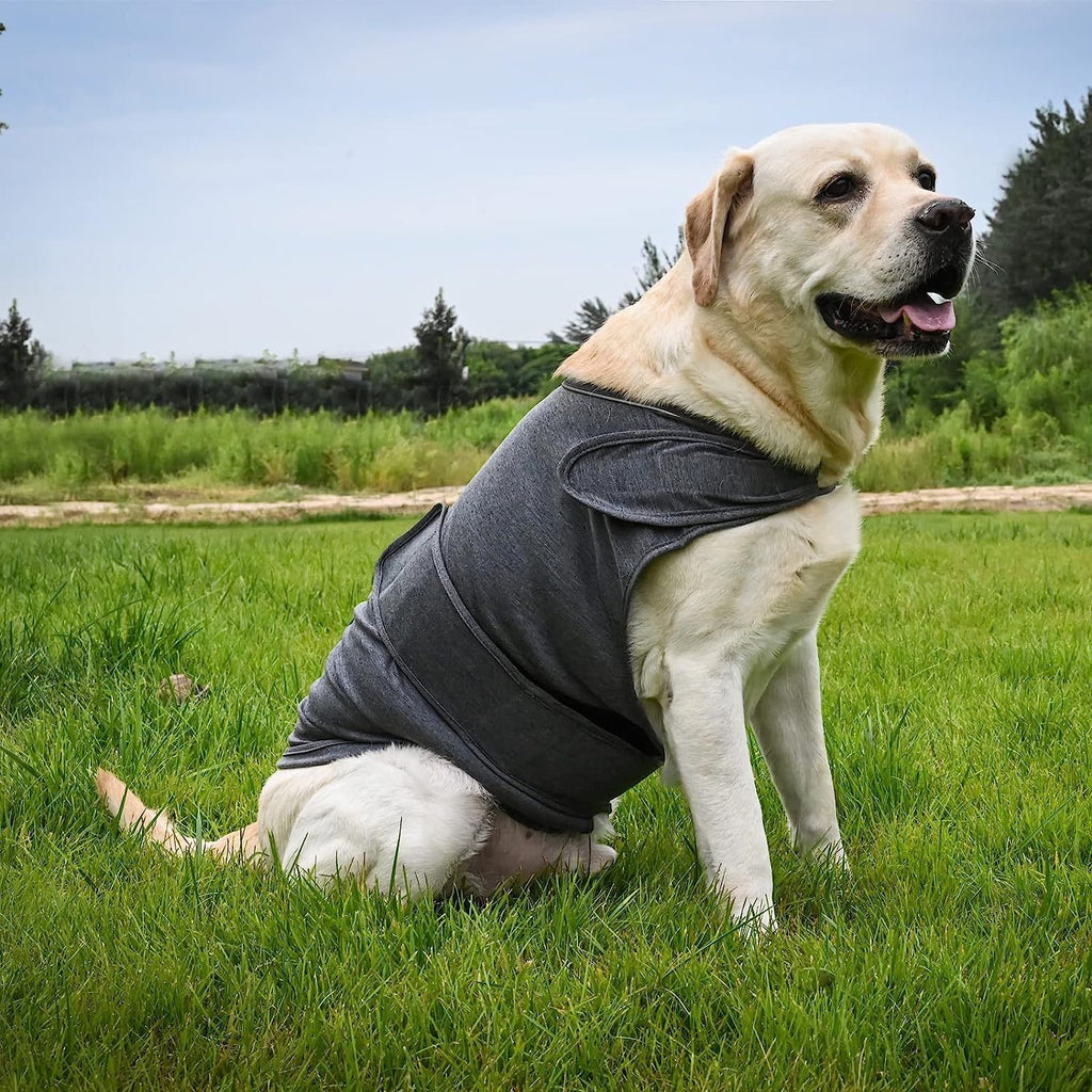 Anxiety Relief Jacket for Comfort and Peaceful Dogs