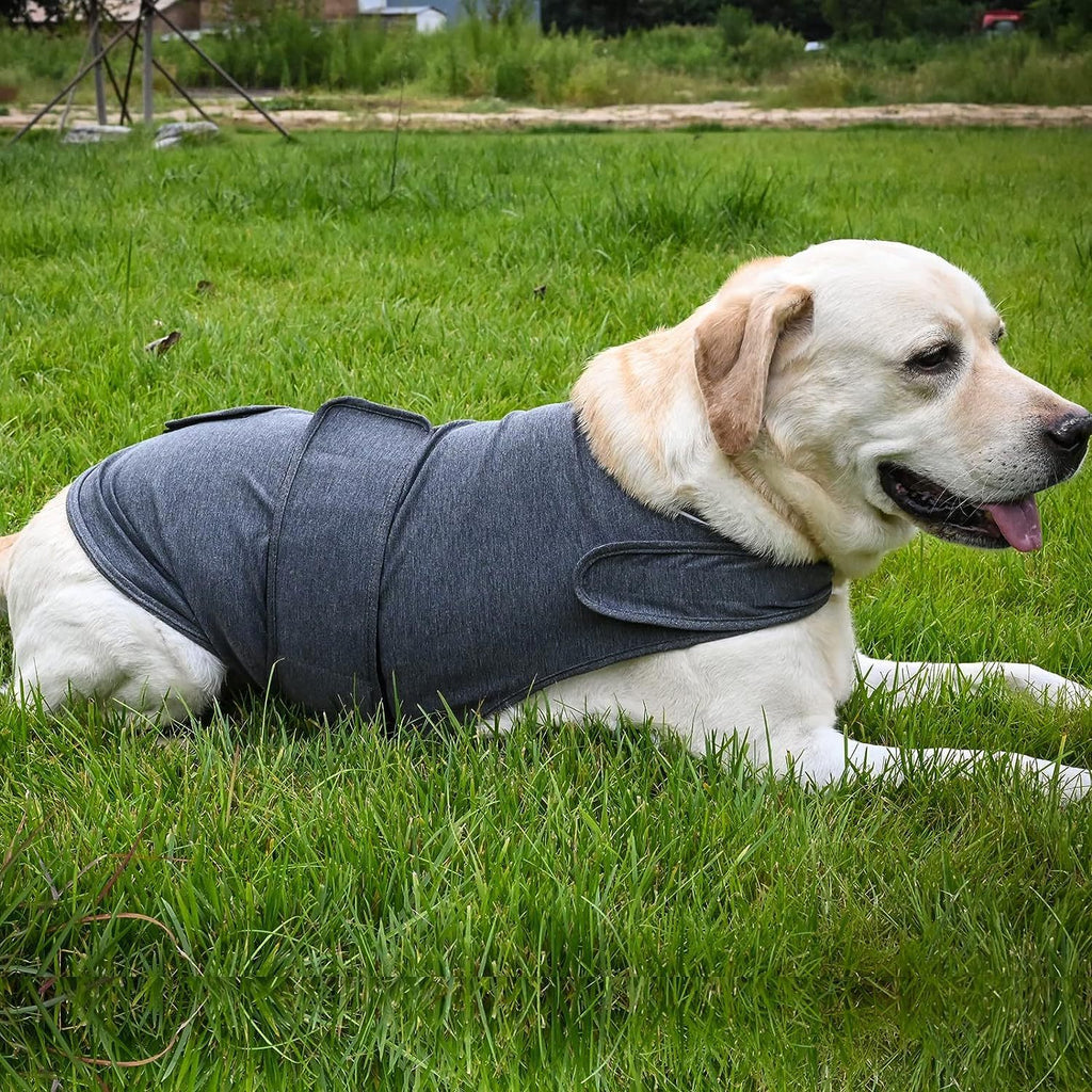 Anxiety Relief Jacket for Comfort and Peaceful Dogs